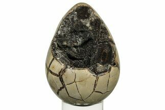 Septarian Dragon Egg Geode - Black Crystals #235338