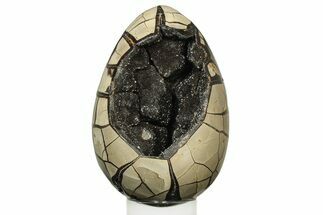 Septarian Dragon Egg Geode - Black Crystals #235342
