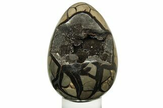 Septarian Dragon Egg Geode - Black Crystals #235344