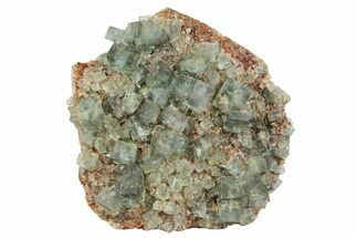 Fluorescent Green Fluorite Cluster - Lady Annabella Mine, England #235374