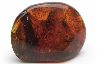 Polished Chiapas Amber ( grams) - Mexico #237370