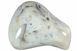 Polished Agate Formation - Madagascar #237611