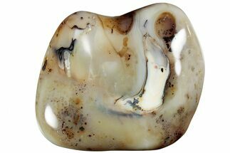 Polished Agate - Madagascar #237620