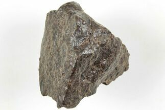 Chondrite Meteorite ( grams) - Western Sahara Desert #233203