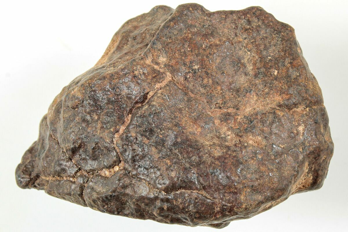 1.5" Chondrite Meteorite (29.5 grams) Western Sahara Desert (233214