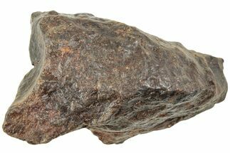 Chondrite Meteorite ( grams) - Western Sahara Desert #233218