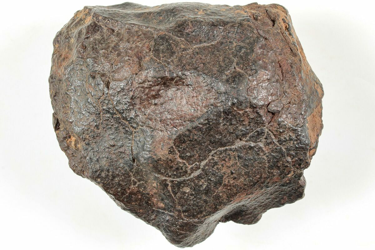 2.3" Chondrite Meteorite (124.5 grams) Western Sahara Desert (233233