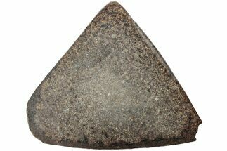 Polished Chondrite Meteorite Slice ( g) - Morocco #238052