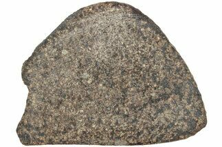 Polished Chondrite Meteorite Slice ( g) - Morocco #238061