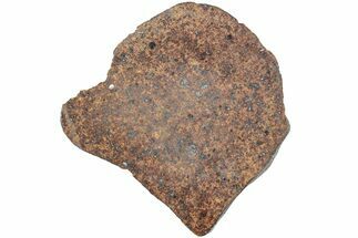 Polished Chondrite Meteorite Slice ( g) - Morocco #238066