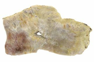 Polished Sagenite Agate Slab - Mexico #184783