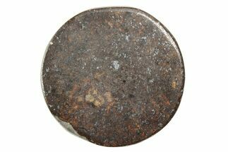Stony Chondrite Cabochon ( grams) - Meteorite #238203