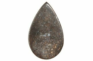 Stony Chondrite Cabochon ( g) - Meteorite #238212