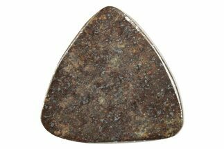 Stony Chondrite Cabochon ( g) - Meteorite #238214