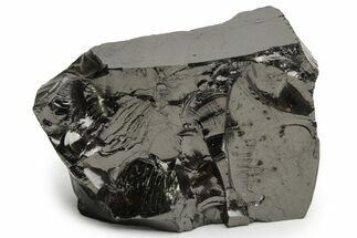 / to / Lustrous Shungite Pieces - Colombia #238710