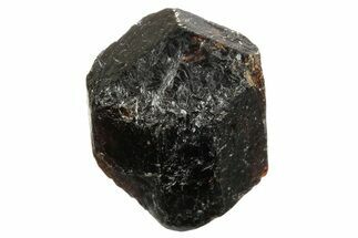 Orange-Brown Dravite Crystal - Rajasthan, India #238600