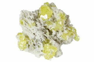 Lustrous Sulfur Crystals on Fluorescent Aragonite - Italy #238427