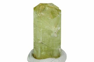 Gemmy, Yellow Apatite Crystal - Morocco #239147
