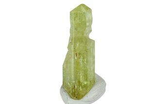 Gemmy, Yellow Apatite Crystal - Morocco #239149