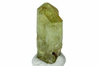 Gemmy, Yellow Apatite Crystal - Morocco #239153