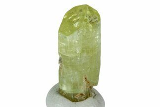 Gemmy, Yellow Apatite Crystal - Morocco #239162