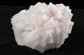 Pink Halite Crystal Plate - Trona, California #239349