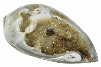 Chalcedony Replaced Gastropod With Sparkly Quartz - India #239318