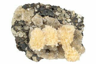 Thomsonite (Zeolite) on Sparkling Heulandite - Maharashtra, India #238476