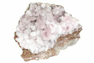 Cobaltoan Calcite Crystal Cluster - Bou Azzer, Morocco #238819