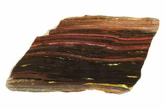 Polished Tiger Iron Stromatolite Slab - Billion Years #239599