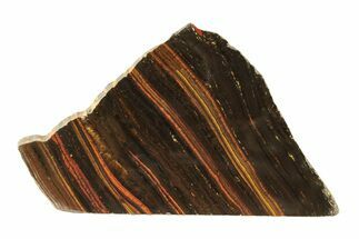 Polished Tiger Iron Stromatolite Slab - Billion Years #239609