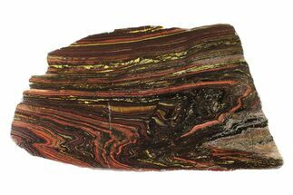 Polished Tiger Iron Stromatolite Slab - Billion Years #239616