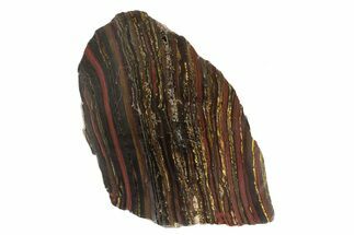 Polished Tiger Iron Stromatolite Slab - Billion Years #239619