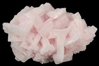 Pink Halite Crystal Cluster - Trona, California #239551