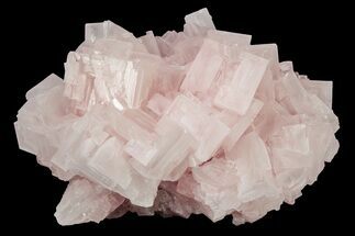 Pink Halite Crystal Cluster - Trona, California #239552