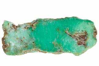 Polished Green Chrysoprase Slab - Western Australia #239710