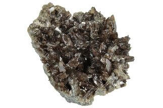 Lustrous Axinite Crystal Cluster - Dalnegorsk, Russia #239586