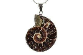 Fossil Ammonite Pendant - Million Years Old #238491