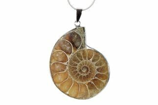 Fossil Ammonite Pendant - Million Years Old #238493