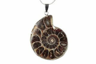 Fossil Ammonite Pendant - Million Years Old #238511