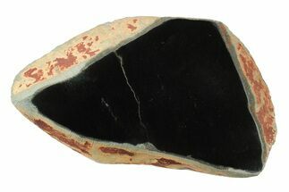 Polished Black Jade (Actinolite) Section - Western Australia #240185