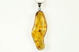 Polished Baltic Amber Pendant (Necklace) - Sterling Silver #240292