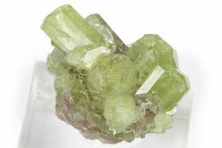 Lustrous Vesuvianite Crystal Cluster - Jeffrey Mine, Canada #240656
