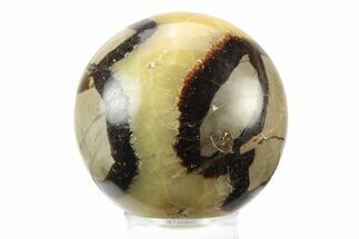 Polished Septarian Sphere - Madagascar #238990