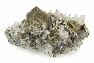 Gleaming Pyrite Crystals with Quartz Crystals - Peru #238974
