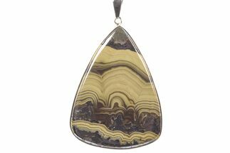 Polished Schalenblende Pendant (Necklace) - Sterling Silver #241250