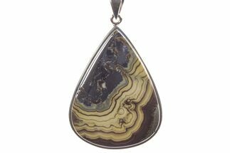 Polished Schalenblende Pendant (Necklace) - Sterling Silver #241262