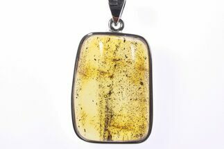 Polished Baltic Amber Pendant (Necklace) - Sterling Silver #241215