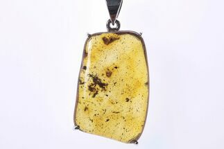 Polished Baltic Amber Pendant (Necklace) - Sterling Silver #241220