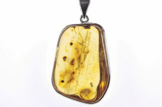 Polished Baltic Amber Pendant (Necklace) - Sterling Silver #241222